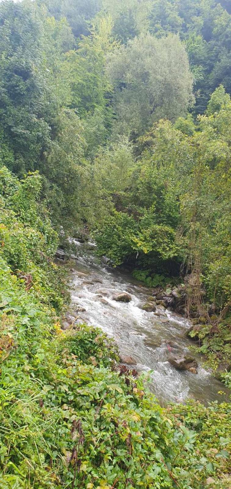 Plav Riverside Village Buitenkant foto